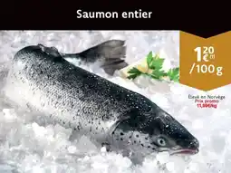 Cora Saumon entier aanbieding