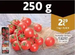 Cora Tomates Cerises en Grappe Torrito en Ravier aanbieding