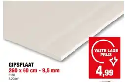 Hubo GIPSPLAAT 260 x 60 cm - 9,5 mm aanbieding