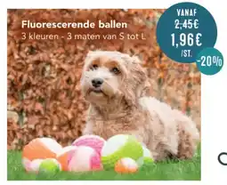 Poils et Plumes Fluorescerende ballen aanbieding