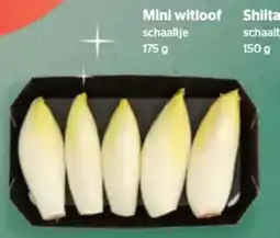 Spar Mini witloof schaaltje aanbieding