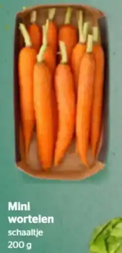 Spar Mini wortelen aanbieding