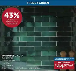Zelfbouwmarkt Wandtegel "alisa" aanbieding