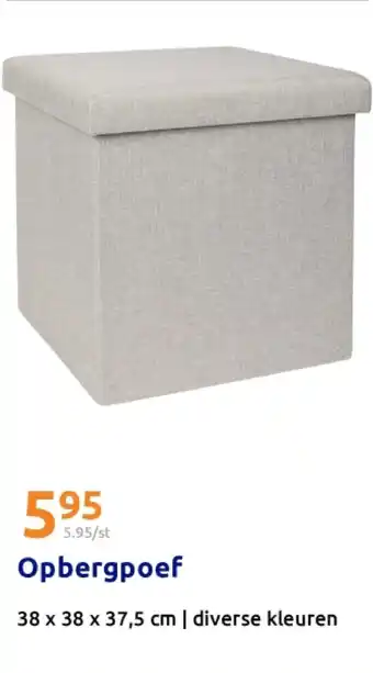 Action Opbergpoef aanbieding