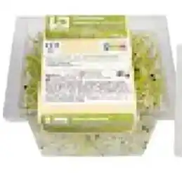 Boni Selection Preischeuten