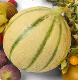 Colruyt Boni Selection meloen charentais los aanbieding