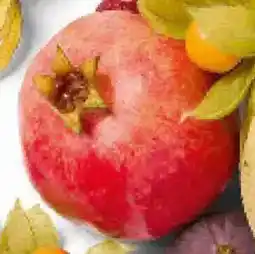 Colruyt Granaatappel aanbieding