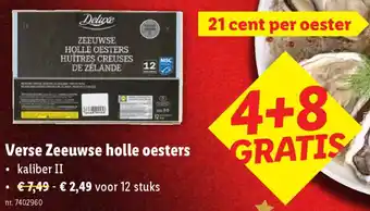 Verse Zeeuwse Holle Oesters