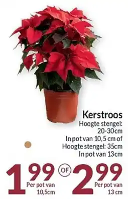 Intermarché Kerstroos aanbieding