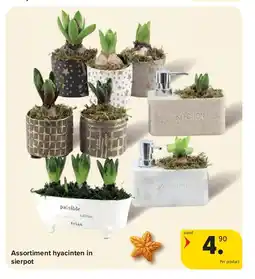 Carrefour Assortiment hyacinten in sierpot aanbieding