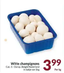 Intermarché Witte champignons aanbieding