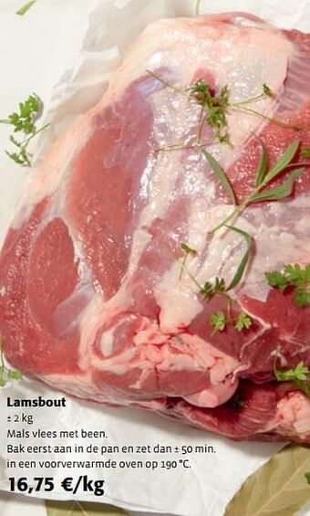 Lamsbout