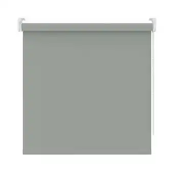Leen Bakker Rolgordijn verduisterend - muisgrijs - 150x250 cm - Leen Bakker aanbieding