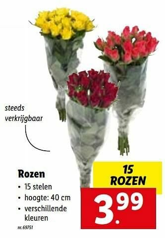 Lidl Rozen aanbieding