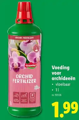 Lidl voor orchideeën aanbieding