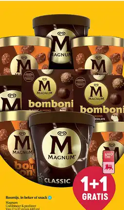 Delhaize Roomijs, in beker of snack aanbieding