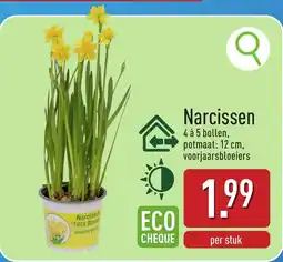 ALDI Narcissen aanbieding