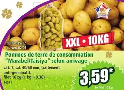 Norma Pommes de terre de consommation Marabel / Taisiya selon arrivage XXL aanbieding