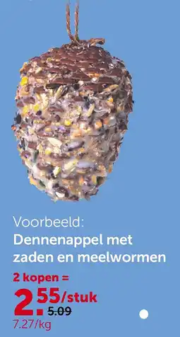 AVEVE Dennenappel met zaden en meelwormen aanbieding