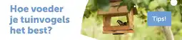 AVEVE Hoe voeder je tuinvogels het best? aanbieding