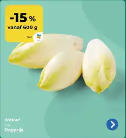 Bio Planet Witloof aanbieding