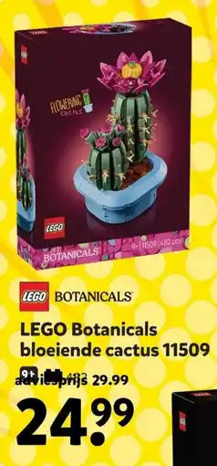 Intertoys LEGO Botanicals bloeiende cactus 11509 aanbieding