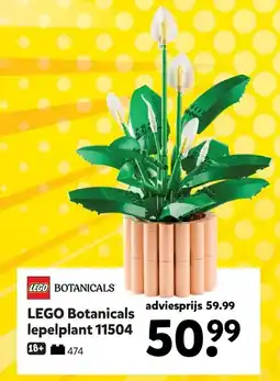 Intertoys LEGO BOTANICALS LEGO Botanicals lepelplant 11504 aanbieding