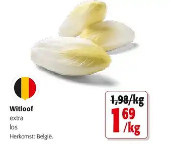 Colruyt Witloof extra los aanbieding
