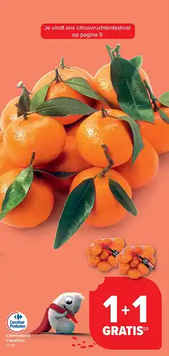 Carrefour Clementines Carrefour aanbieding