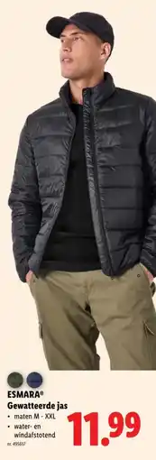 Lidl Esmara gewatteerde jas aanbieding