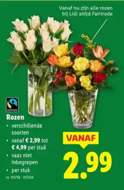 Lidl Rozen aanbieding