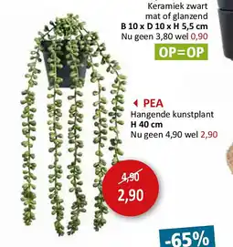 Weba PEA aanbieding