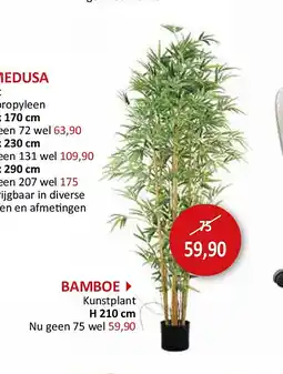 Weba BAMBOE aanbieding