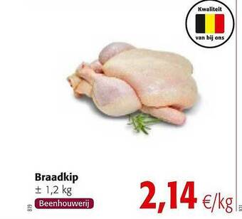Braadkip