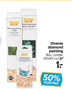 Xenos Diverse diamond painting aanbieding