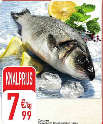 Cora Zeebaars aanbieding