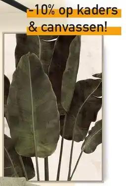 YGO Canvas Kadek aanbieding