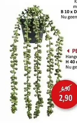 Weba PEA Hangende kunstplant aanbieding