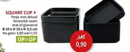 Weba Square cup aanbieding