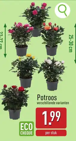 ALDI Potroos aanbieding
