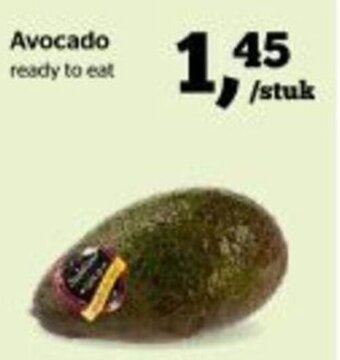 Avocado