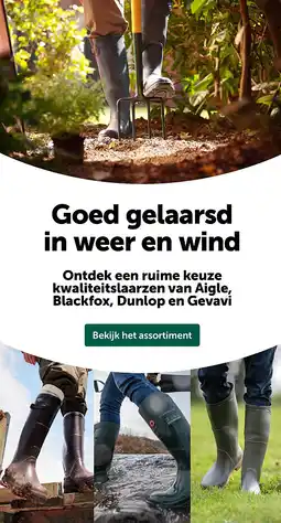 AVEVE Goed gelaarsd in weer en wind aanbieding