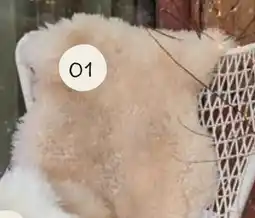 Horta Crèmekleurig Kunstbont Kleed aanbieding