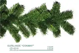 Horta Guirlande Conway aanbieding