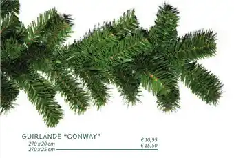 Horta Guirlande Conway aanbieding