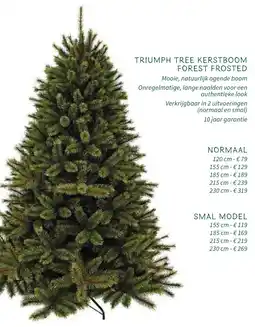 Horta Triumph Tree Kerstboom Forest Frosted aanbieding