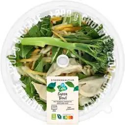 Albert Heijn AH Terra Plantaardig stoommaaltijd gyoza bowl aanbieding