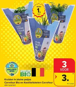 Carrefour Kruiden in kleine potjes Carrefour Bio en Kwaliteitsketen Carrefour aanbieding