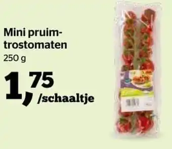 Spar Mini pruim- trostomaten aanbieding