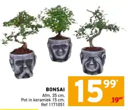 Trafic Bonsai aanbieding
